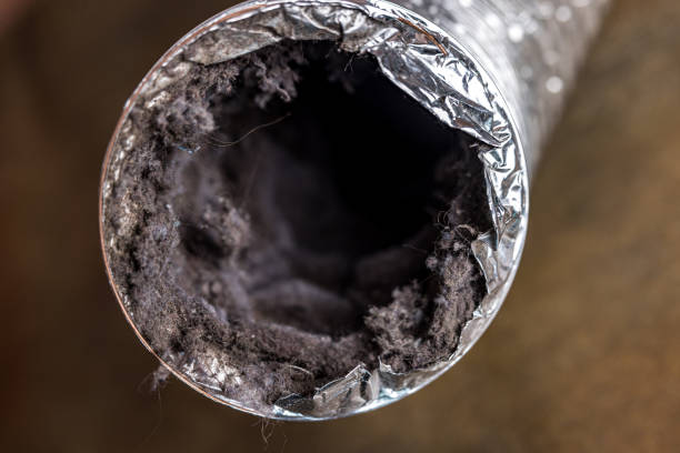 Best Duct Cleaning Specialists  in Asheboro, NC